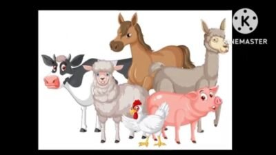 PET GAMES Tabuleiro Xadrez - Pet in Action🔱 Mergulhando no Mundo do F2 ...