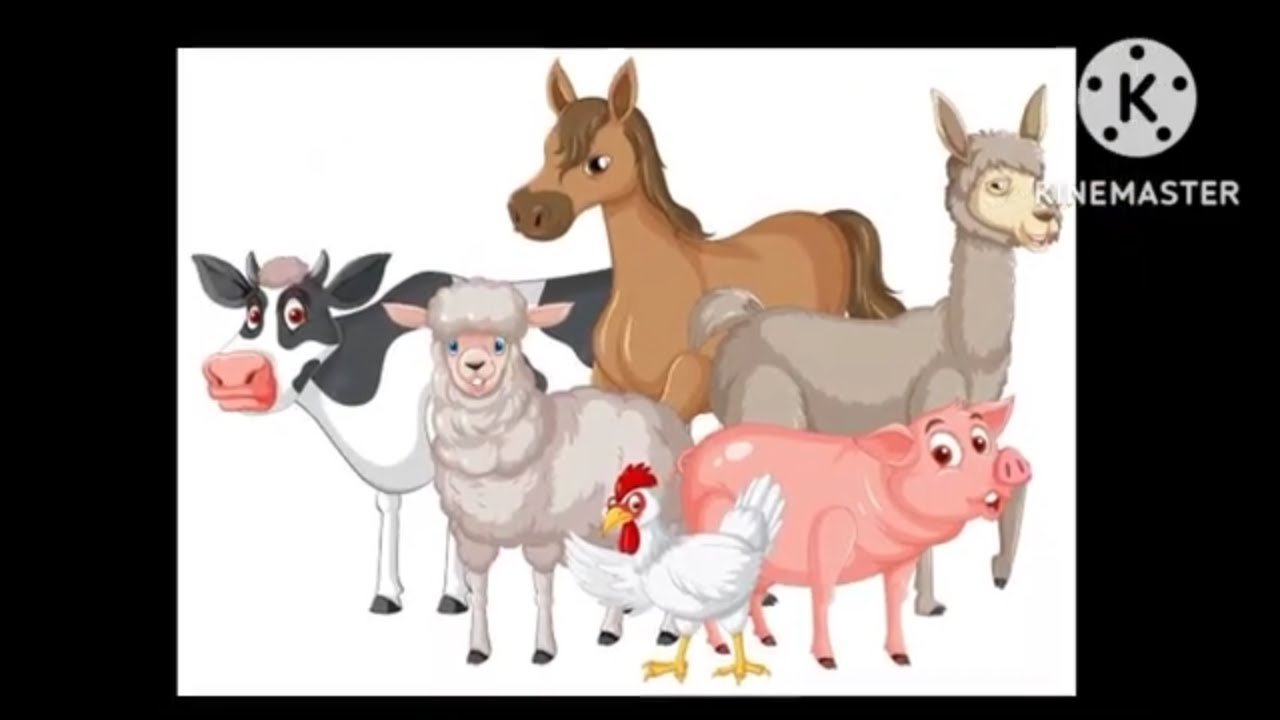 PET GAMES Tabuleiro Xadrez - Pet in Action🔱 Mergulhando no Mundo do F2 ...