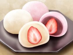 Mochi health code Unlocking the Secrets to Wellness