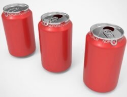 Where Can I Get Pet Insurance Find The Best Plans Today