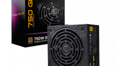Fuente Gamer Evga 750w Supernova Gold Modular