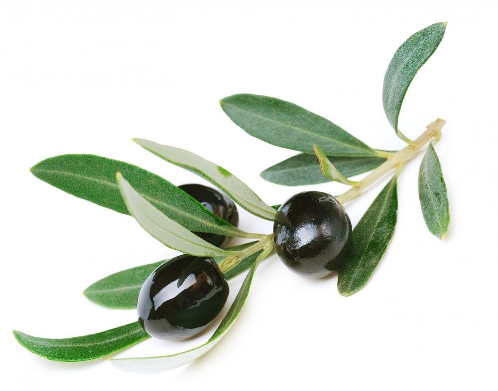 Black Olives Trio transparent PNG