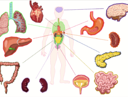 Body Health Discount Code Unlock Savings Today