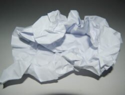 Paper void fill machine revolutionizing packaging efficiency