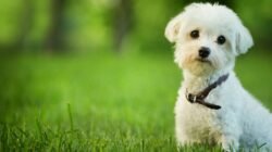 Your Blog - egyptdrain94