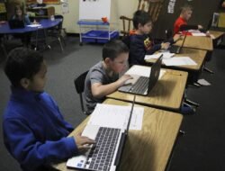 Educative Cost Understanding the Value of Translation