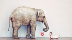 ビッグモーターの店舗で『車検不正』検査せず整備記録に虚偽の記載 | News Everyday