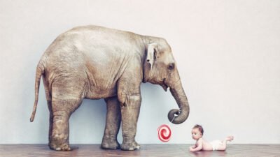 ビッグモーターの店舗で『車検不正』検査せず整備記録に虚偽の記載 | News Everyday