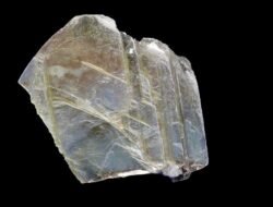 Mica Fashion Design Is The Future Of Style