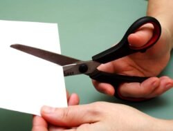 Cut Resistant Jacket Ultimate Protection For Safety