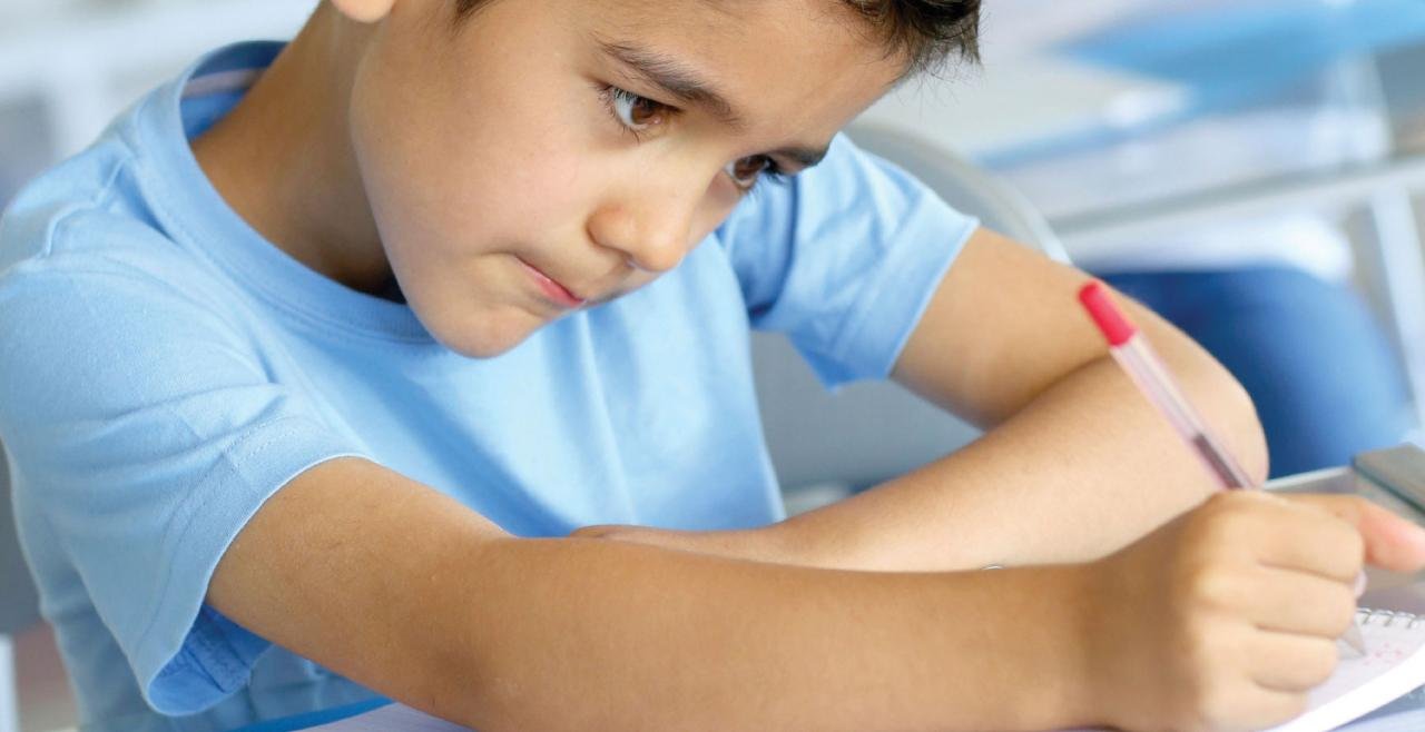 State Education Photos, Download The BEST Free State Education Stock ...