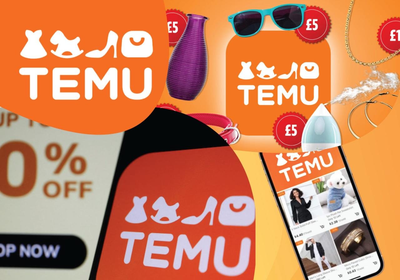 Temu Shopping App - Revolutionizing Online Retail for a Seamless ...