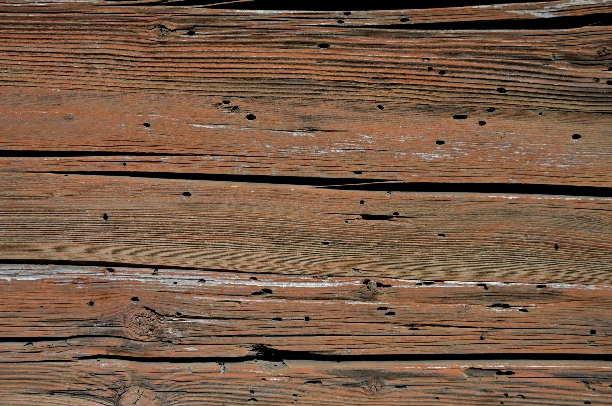 Free Images : board, texture, plank, floor, trunk, old, pattern, lumber ...