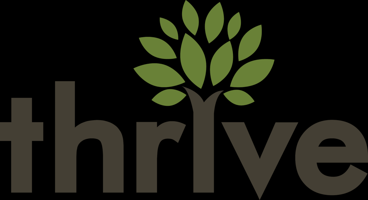 Thrive Internet Marketing Agency Named to Inc. 5000 List of Fastest ...