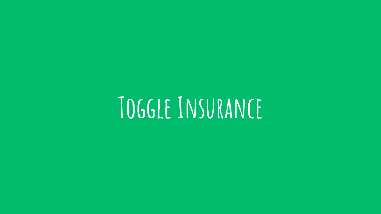 Toggle Renters Insurance Review 2025