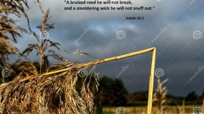 Reed Jewelry Coupon Offers Exclusive Savings Today