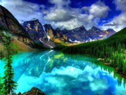 Beautiful window shades elevate your home decor