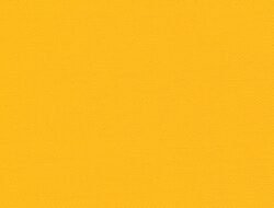 Yellow Jacket Exterminators Near Me For Quick Relief