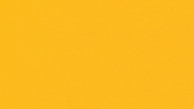 Yellow jacket exterminators near me