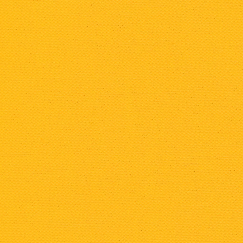 Yellow jacket exterminators near me