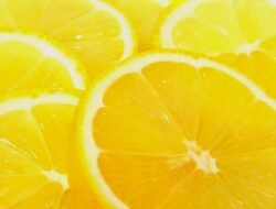 Yellow Jacket Removal Near Me For A Safer Home