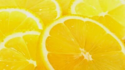 Yellow Jacket Removal Near Me For A Safer Home